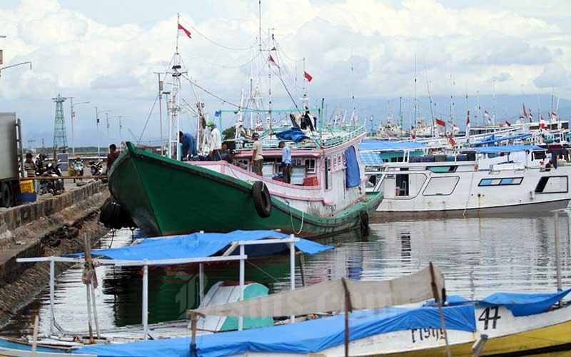  Penyaluran KUR Sektor Kelautan dan Perikanan Pada 2020 Senilai RP5,19 Triliun