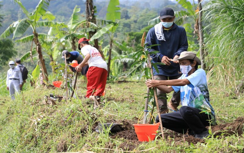  17.000 Bibit Pohon Ditanam di Seputaran Rawapening