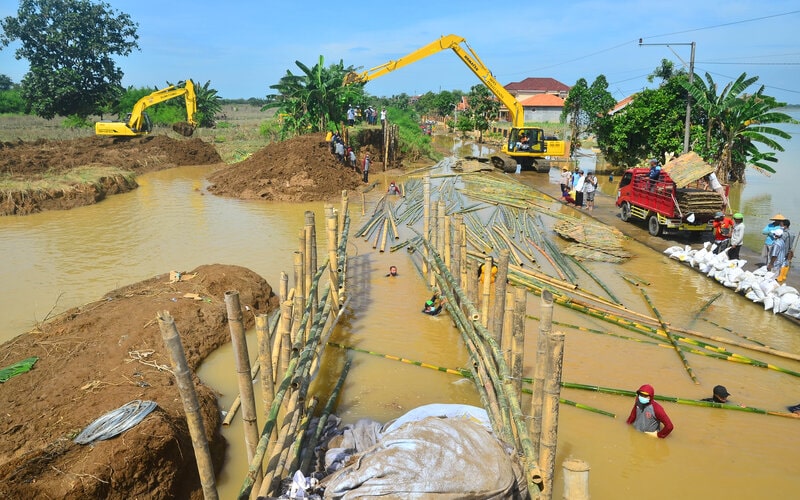  Klaim Asuransi Pertanian di Kudus Meningkat