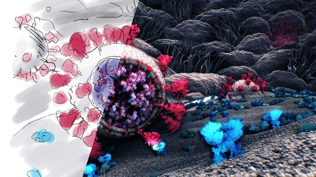  Ilmuwan Temukan Gambar 3D Pertama Virus Corona yang Lebih Detail