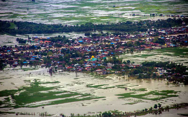  Puluhan Ribu Hektare Lahan Sawah di Kalimatan Selatan Terendam Banjir