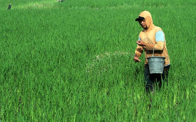  Kementan Tetapkan Alokasi Pupupk Bersubsidi Untuk Petani Sebanyak Sembilan Juta Ton Pada 2021