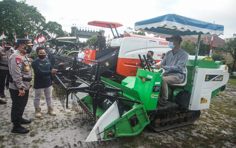  Kawasan Lumbung Pangan Kalteng Segera Panen, Begini Evaluasinya