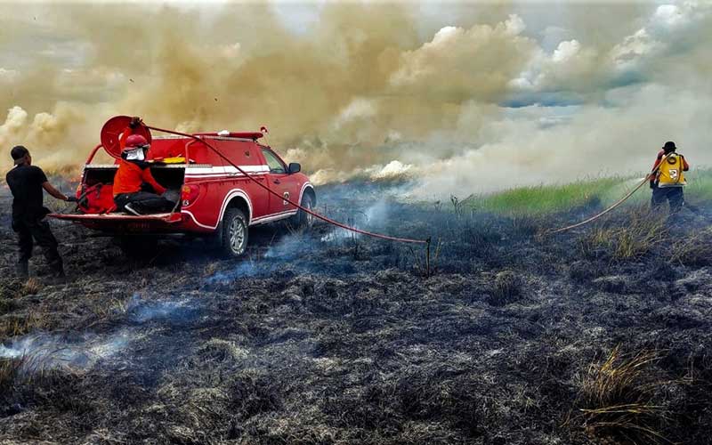  Kawasan Taman Nasional Rawa Aopa Watumoha di Sulawesi Tenggara Terbakar