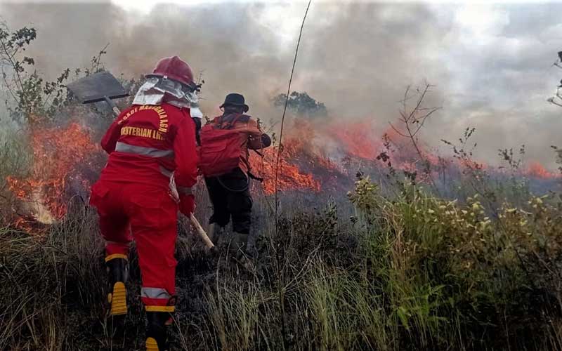  Kebakaran Lahan di Taman Nasional Rawa Aopa Watumohai Sulawesi Tenggara Terus Meluas