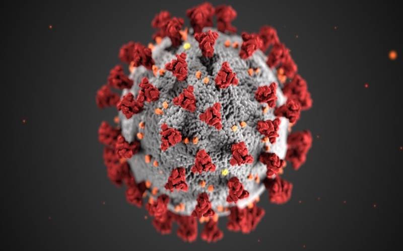 Sel virus corona