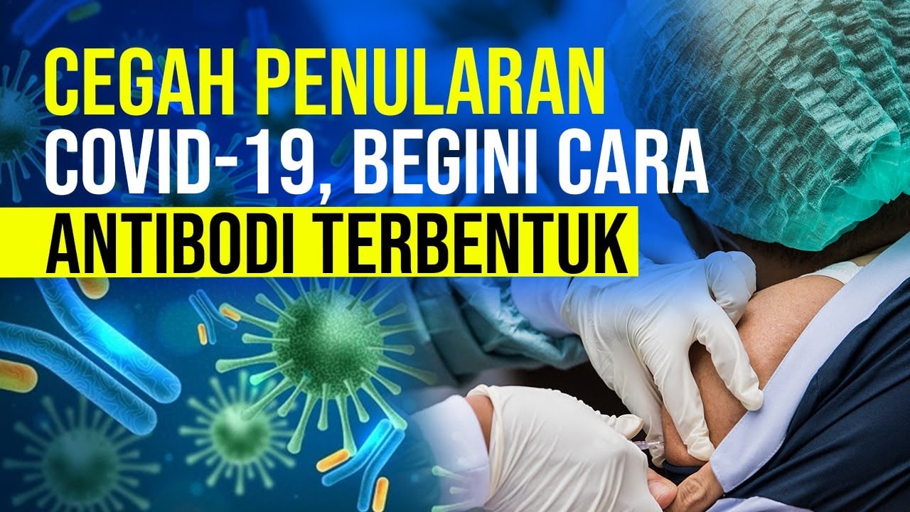  Tiga Saran IDI Soal Terbentuknya Antibodi Setelah Vaksinasi