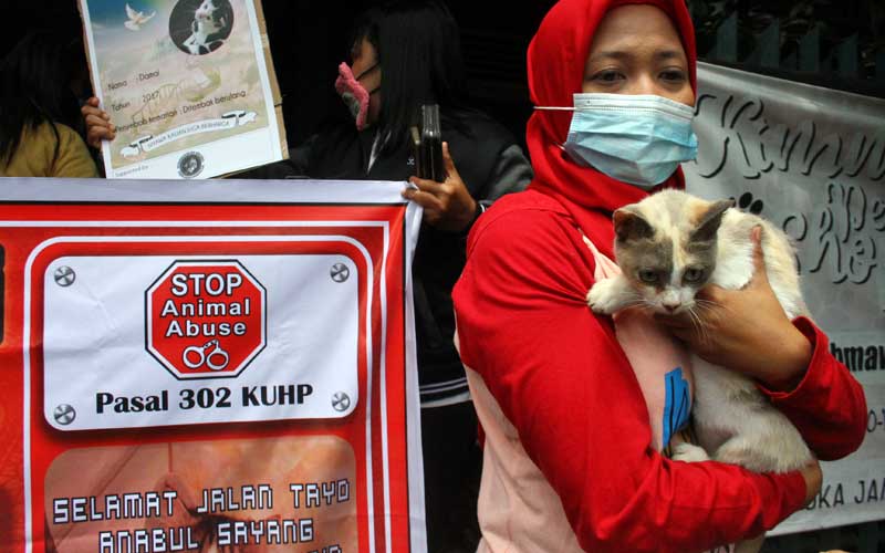  Pecinta Satwa Gelar Unjuk Rasa Atas Maraknya Kasus Penyembelihan Kucing