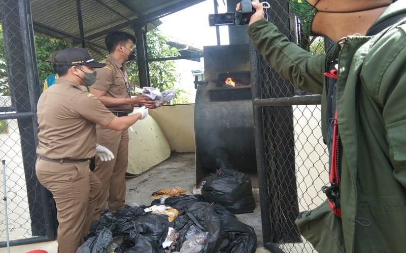  Bibit Tanaman Hias Ilegal dari Sembilan Negara Dimusnahkan di Makassar