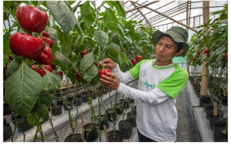  Danone Indonesia Gabung dengan Koalisi Air Indonesia