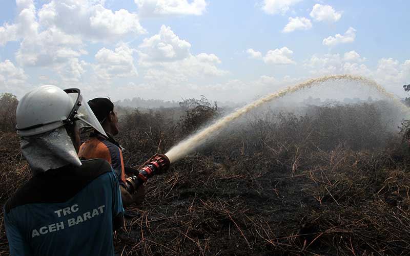  Masuki Musim Kemarau, Riau Tetapkan Status Siaga Darurat Karhutla