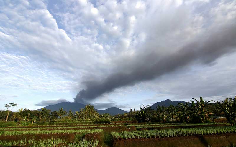  Gunung Raung di Banyuwangi Semburkan Abu Vulkanik Setinggi 2.500 Meter
