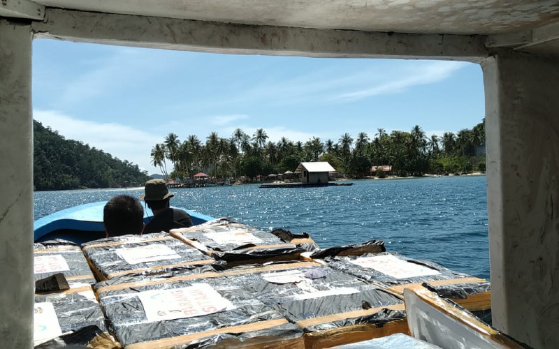  KKP Lepasliarkan Ratusan Ribu Benur Lobster Selundupan di Padang