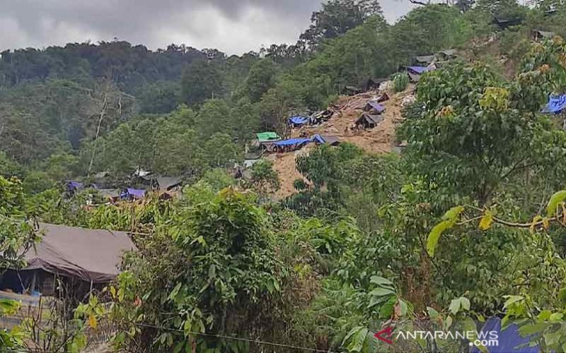  Ketika Penambang Emas Tanpa Izin Menyerbu Taman Nasional Lore Lindu