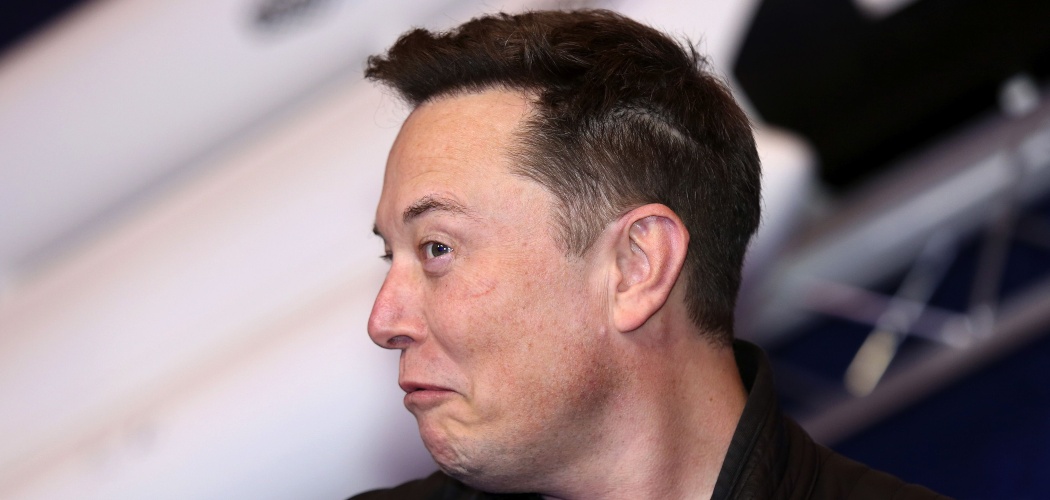  Elon Musk Sang Influencer Lama