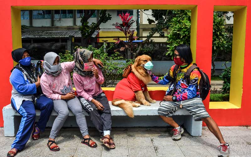  Anjing di Tasikmalaya Jawa Barat Lakukan Edukasi Protokol Kesehatan Kepada Warga