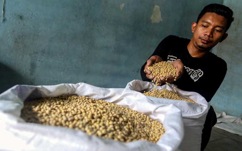  Harga Kedelai Impor di Kudus Kembali Naik