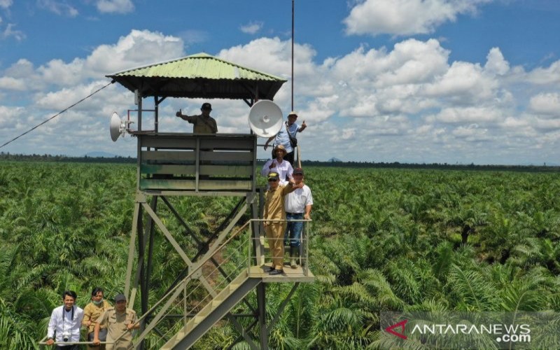  Perusahaan Perkebunan di Kalbar Diimbau agar Waspadai Karhutla