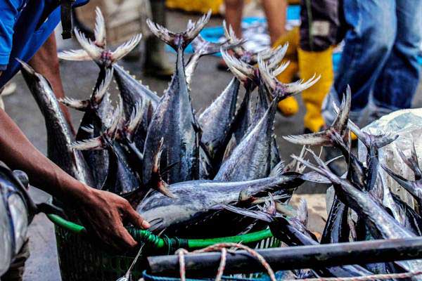  Cuaca Buruk, Pasokan Ikan di Kalsel Berkurang