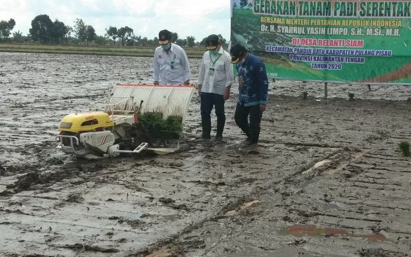  Pertanian jadi Penyelamat Ekonomi, tapi Anggaran Kementan Disunat 