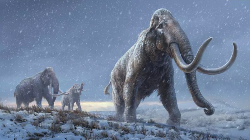 Peneliti menemukan DNA gigi mammoth tertua berusia lebih dari 1 juta tahun./France24