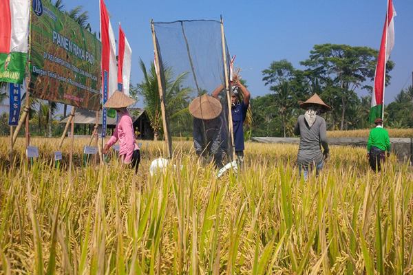 Sektor Pertanian Mampu Menopang Ekonomi Bali