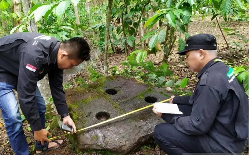  Lumpang Batu dari Masa Megalitikum di Kebun Kopi Diperiksa, ini Hasilnya