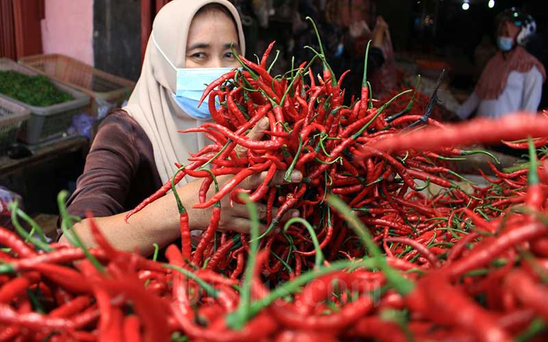  Akibat Cuaca Buruk di Jawa, Pemprov Sumatra Barat Datangkan Cabai Dari Aceh