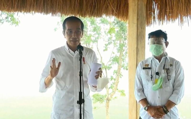  Jokowi: Food Estate di NTT akan Diperluas Hingga 10.000 Hektare