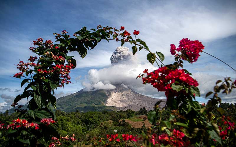  Gunung Sinabung Semburkan Material Vulkanik Setinggi 3.960 Meter Di Atas Permukaan Laut