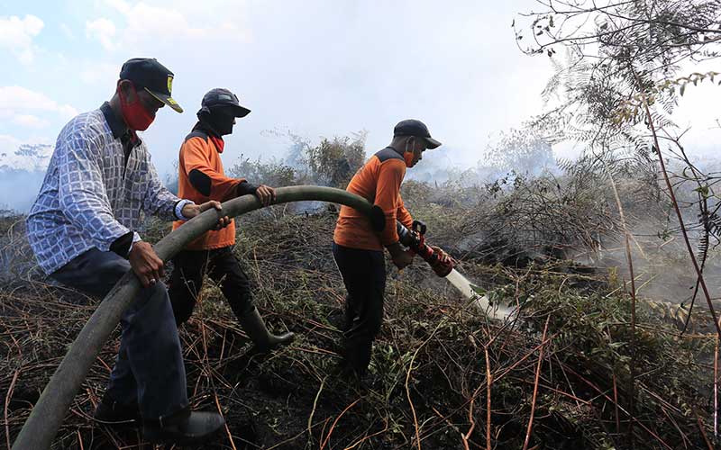  Kebakaran Lahan Gambut di Aceh Hanguskan 8 Hektar Lahan Milik Warga