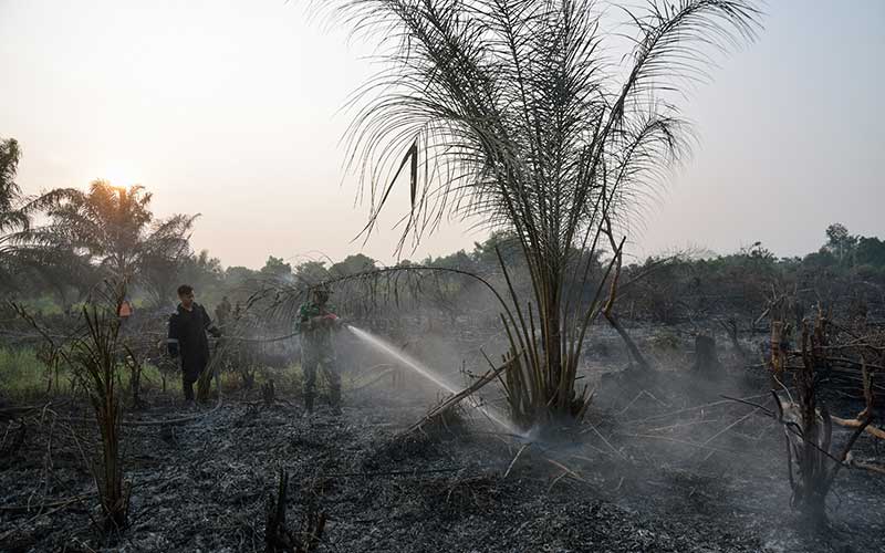  Provinsi Riau Tetapkan Status Siaga Darurat Kebakaran Hutan dan Lahan