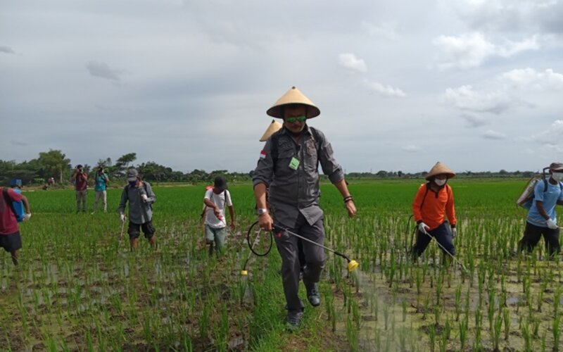 Menteri Pertanian, Syahrul Yasin Limpo, ikut menyemprot tanaman padi di Desa Dibal, Kecamatan Ngemplak, Kabupaten Boyolali, Jumat (5/3/2021)./JIBI-Bayu Jatmiko Adi