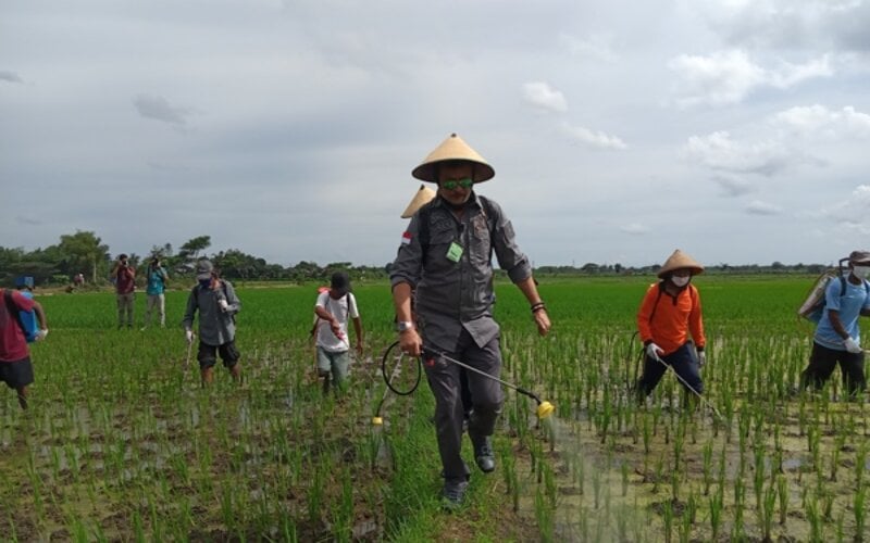  Boyolali Bisa Jadi Lokomotif Peningkatan Pertanian, Ini Alasannya