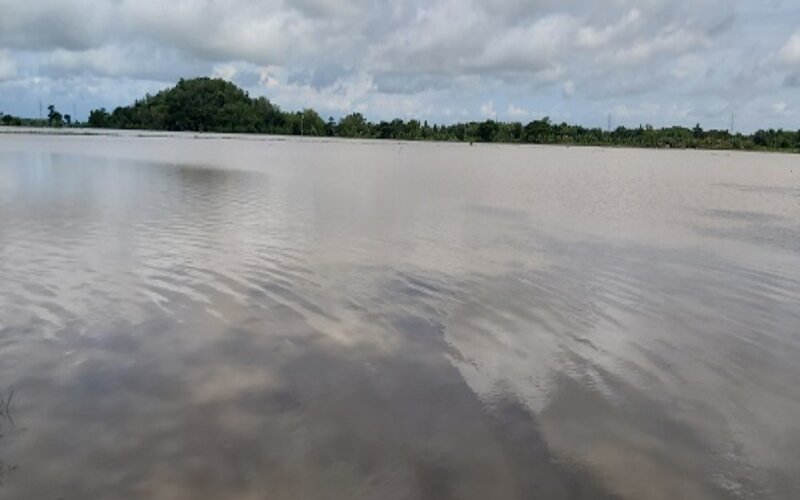 Areal persawahan warga di Kecamatan Bulu, Sukoharjo, yang terendam banjir, Senin (17/2/2020)./JIBI-Indah Septiyaning Wardani