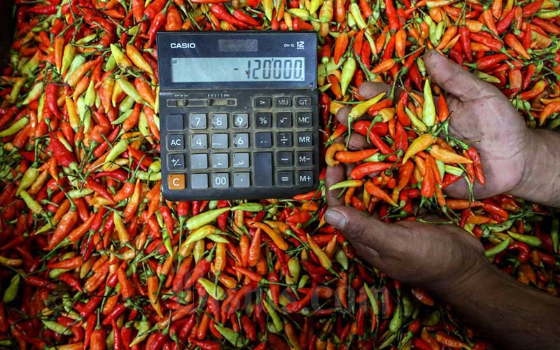  Harga Cabai Rawit Merah Tembus Rp120 Ribu Per Kilogram