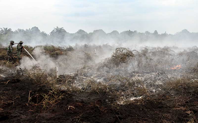  Bencana Kabut Asap di Riau Berpotensi Terulang Kembali