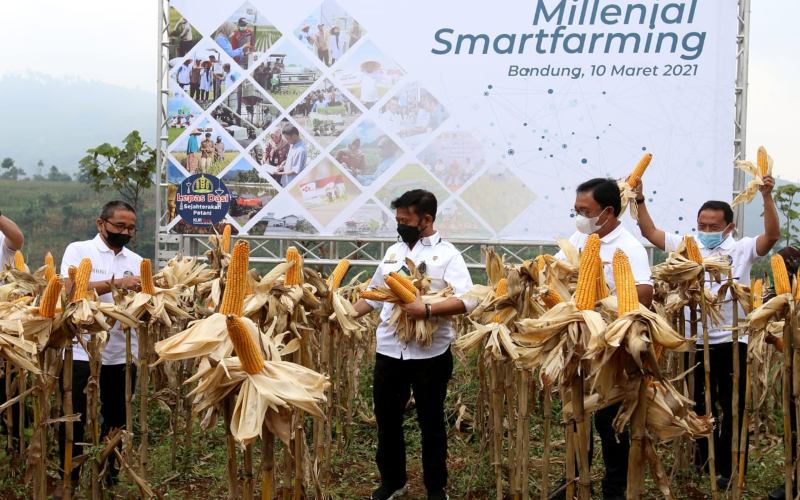  Millenial Smartfarming, Upaya BNI Digitilisasi Pertanian Bersama Pemuda