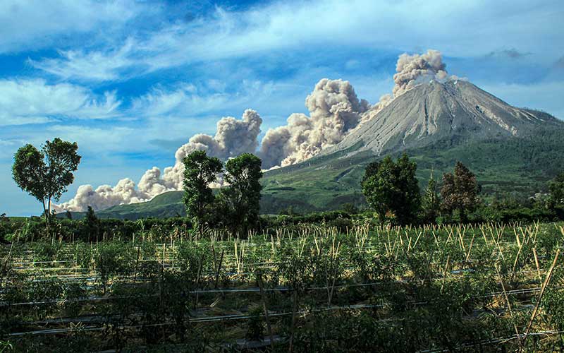  Kembali Erupsi, Gunung Sinabung Semburkan Material Vulkanik Dengan Tinggi Kolom 3.000 Meter