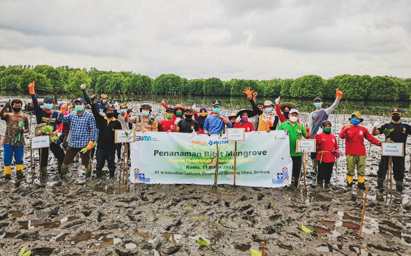  Program Server Mang Budi Pupuk Kaltim Target Tanam 25 Ribu Bibit Mangrove Selama 2021