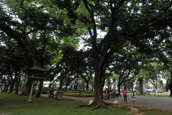  Hari Ini, 3 Hutan Kota dan 24 Taman di Jakarta Dibuka Kembali