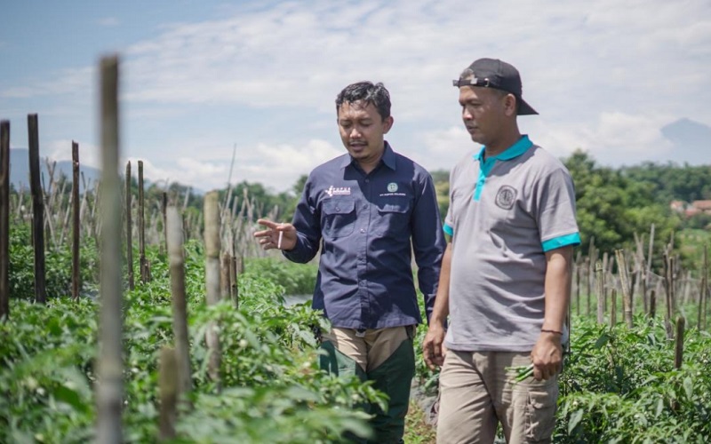  Genjot Produktivitas Petani, Pupuk Kujang Terjunkan Tim Riset untuk Pendampingan