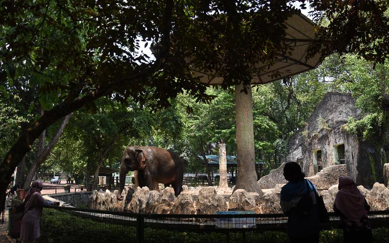  Ragunan dan 25 Taman Kota di DKI Dibuka Lagi, Cek Lokasinya!