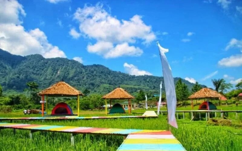  Wisata Tidur di Sawah Banyak Diminati Pelancong