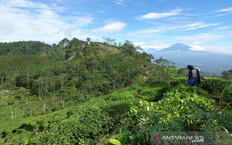  Kulon Progo Benahi Jalan ke Borobudur Highland