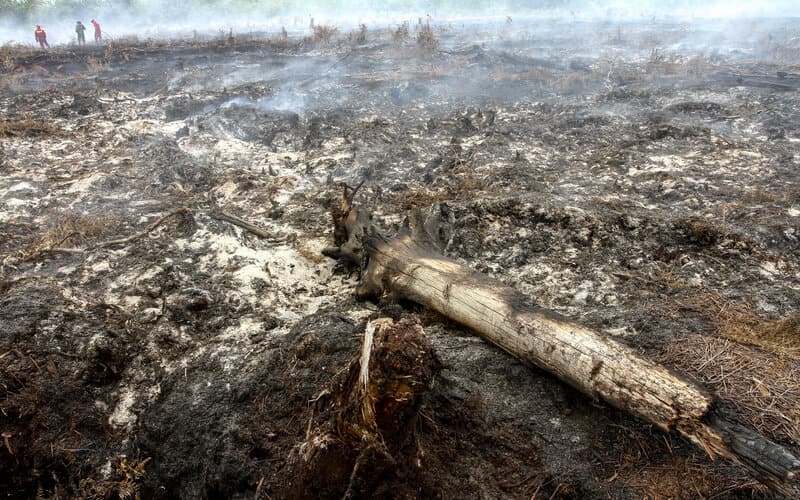  Riau Belum Terima Pengajuan Pinjaman Alat Berat untuk Buka Lahan