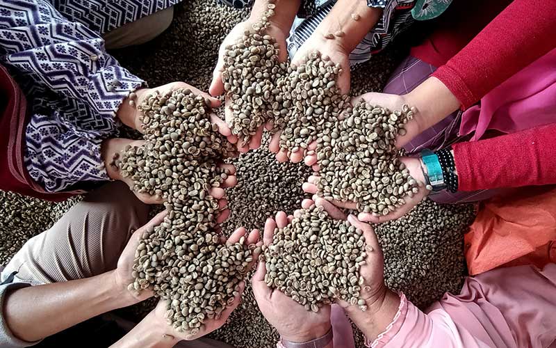  Potret Eksistensi Petani Kopi Arabika Gayo Aceh di Tengah Pandemi