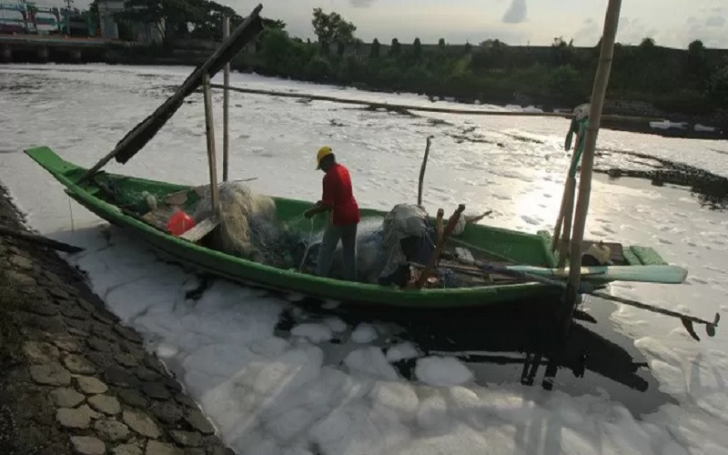  Beberapa Hari Terakhir Sungai Tambak Wedi di Surabaya Berbusa, Ada Apa?