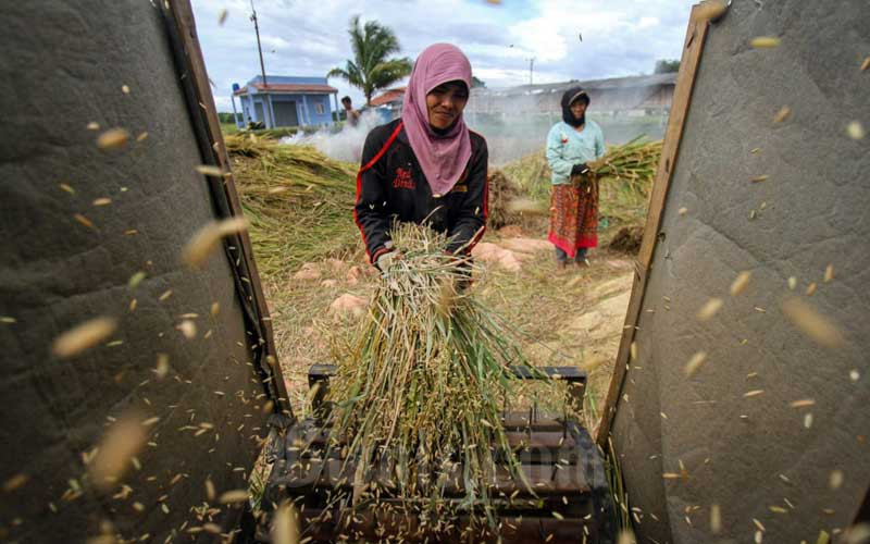  Hingga Februari 2021, Askrindo Catatkan Penjaminan Kredit Senilai Rp20,69 triliun