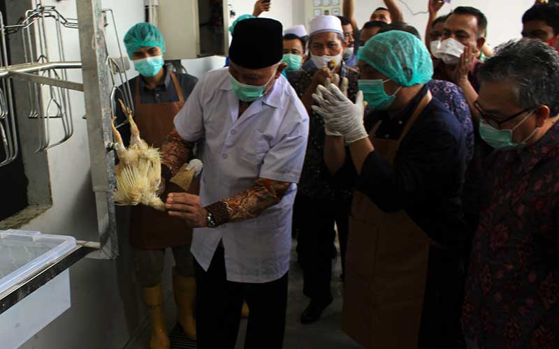  Peresmian Rumah Potong Unggas Berstandar SNI Pertama di Padang